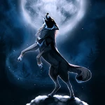 wolf wallpapers offline android application logo